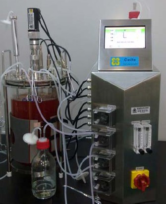 ̈́：(x)B(yng)ﷴ(yng)