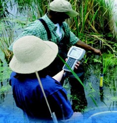 YSI 6ϵж๦ˮ|Oyϵy